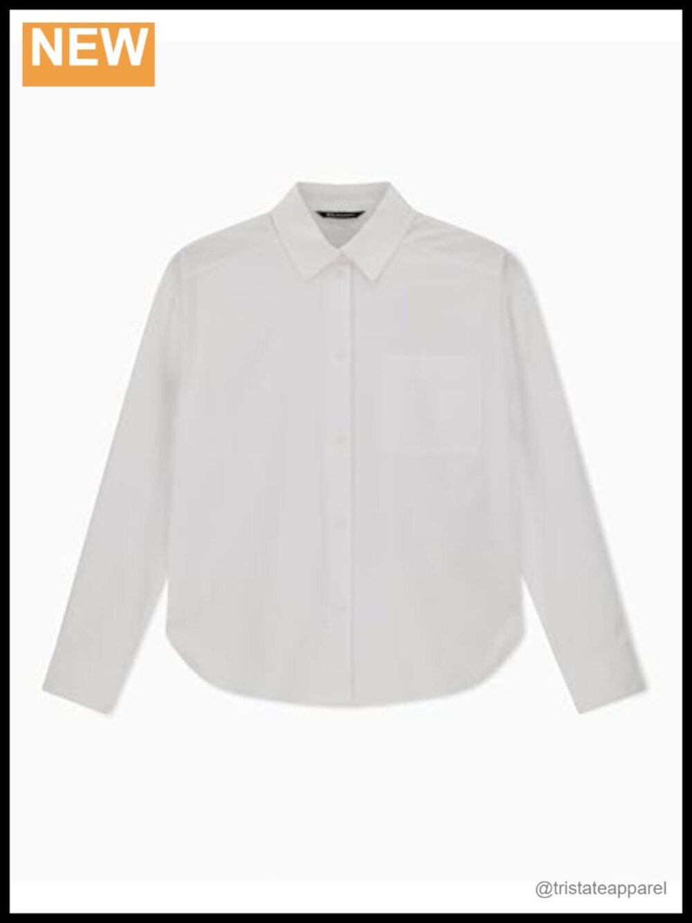Essential Cotton Oxford Button Down Shirt Long Sleeve